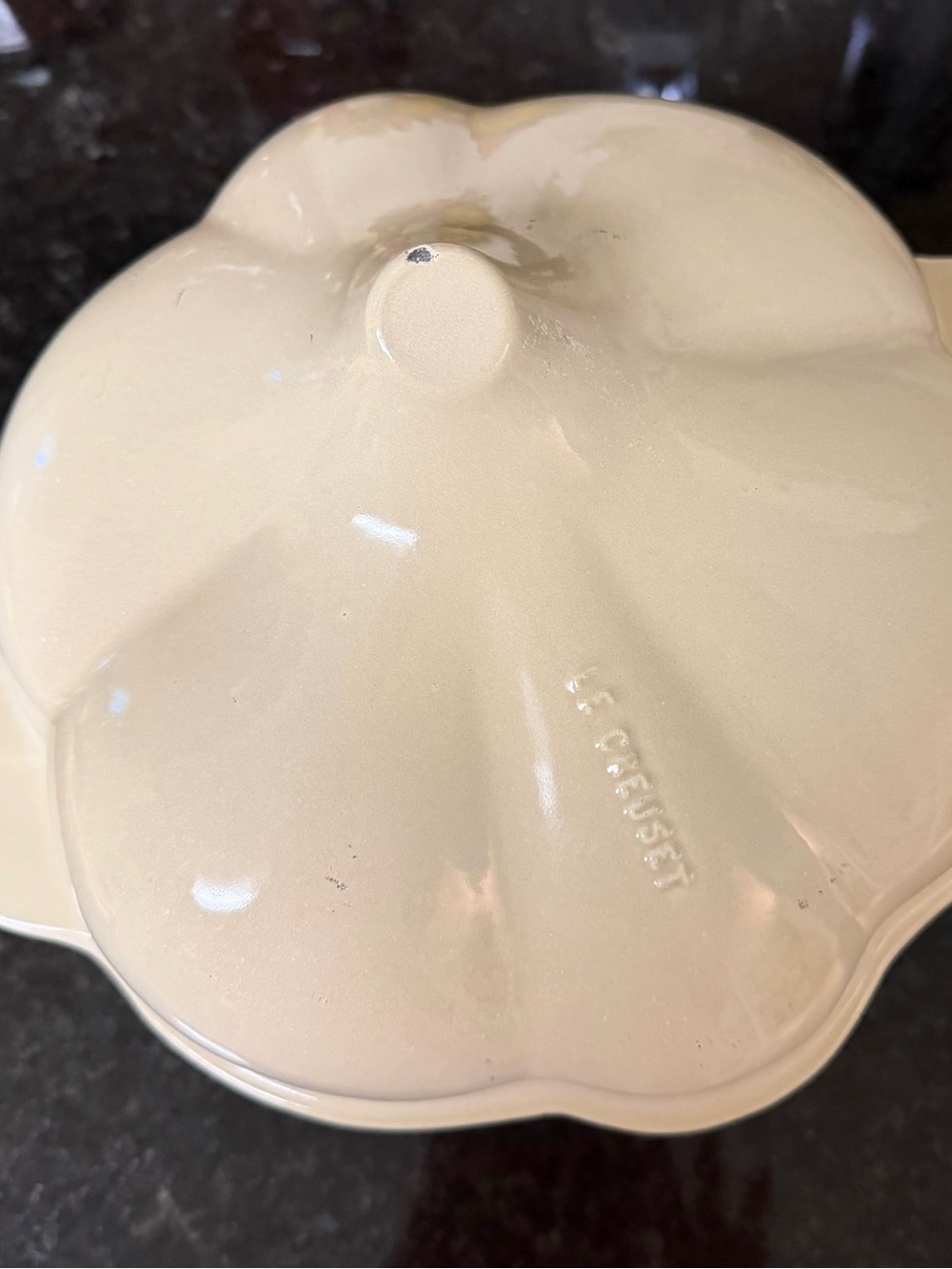 Le Creuset VERY RARE 22 cm Garlic Cast Iron Dutch Oven